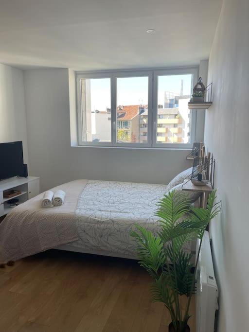 Studio Cosy Rue Alexander Taylor, Wifi, 2 Pers Pau Kültér fotó